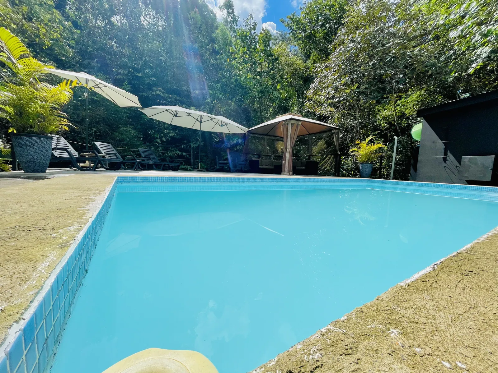 Piscina de la finca rodeada de vegetación